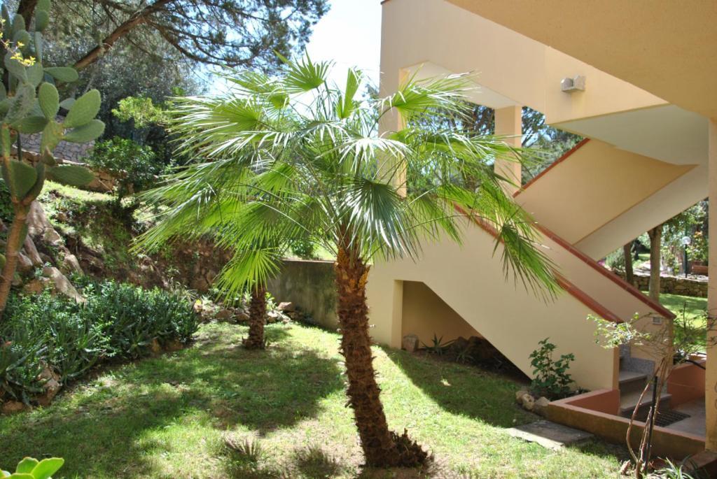 Sa Jaga Brujada Residence - Simar Vacanze Porto Rotondo Exterior foto